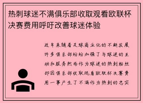 热刺球迷不满俱乐部收取观看欧联杯决赛费用呼吁改善球迷体验